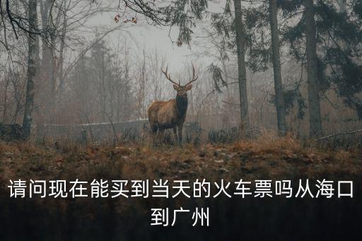 請問現在能買到當天的火車票嗎從海口到廣州