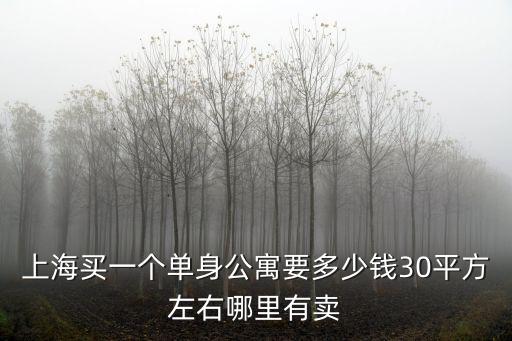上海買一個單身公寓要多少錢30平方左右哪里有賣