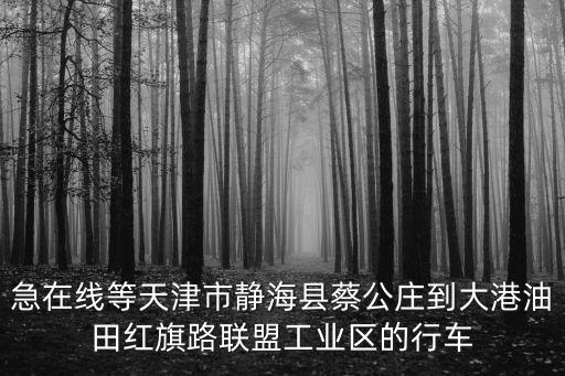 急在線等天津市靜?？h蔡公莊到大港油田紅旗路聯盟工業區的行車