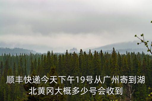 順豐快遞今天下午19號從廣州寄到湖北黃岡大概多少號會收到