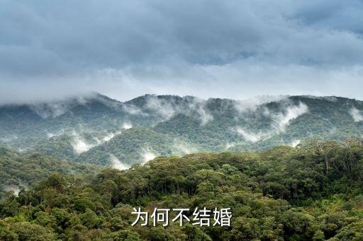 為何不結婚