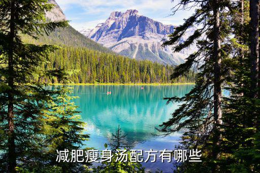 減肥瘦身湯配方有哪些