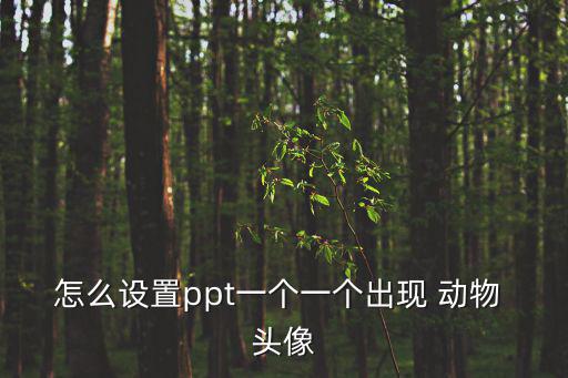 怎么設置ppt一個一個出現 動物 頭像
