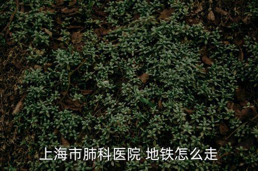 上海市肺科醫(yī)院 地鐵怎么走