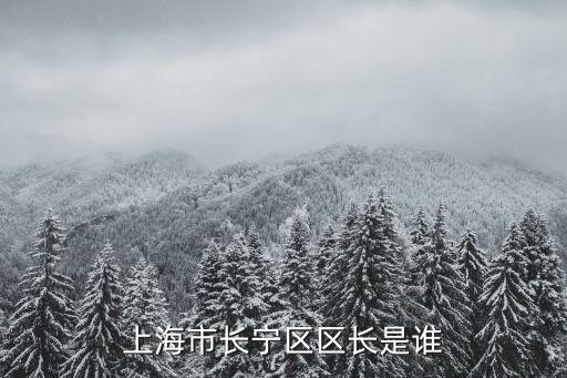 上海市長寧區(qū)區(qū)長是誰
