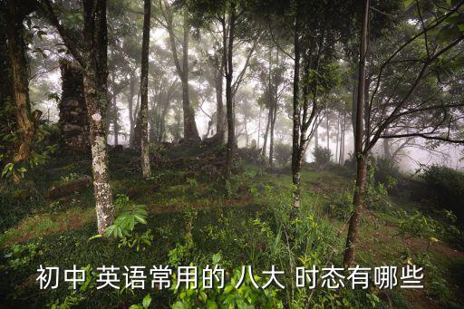 英語八大時態(tài)總結表,八大時態(tài)指哪些動作和行為?
