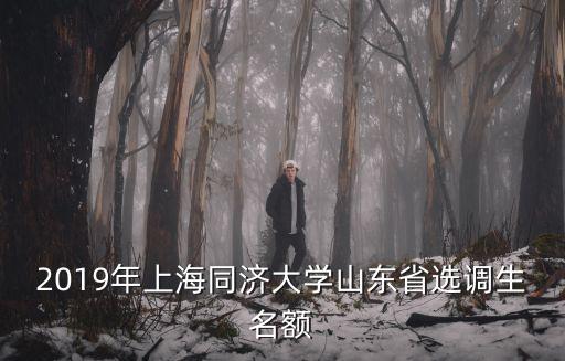 2019年上海同濟(jì)大學(xué)山東省選調(diào)生名額