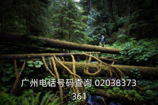 廣州電話號(hào)碼查詢 02038373361
