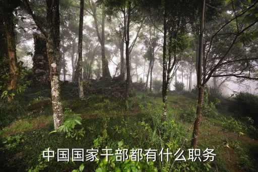 中國國家干部都有什么職務