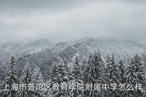 上海市普陀區教育學院附屬中學怎么樣