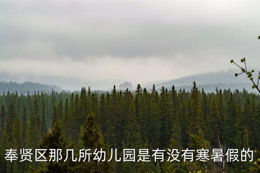 奉賢區那幾所幼兒園是有沒有寒暑假的