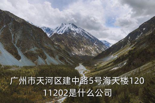 廣州市天河區建中路5號海天樓12011202是什么公司