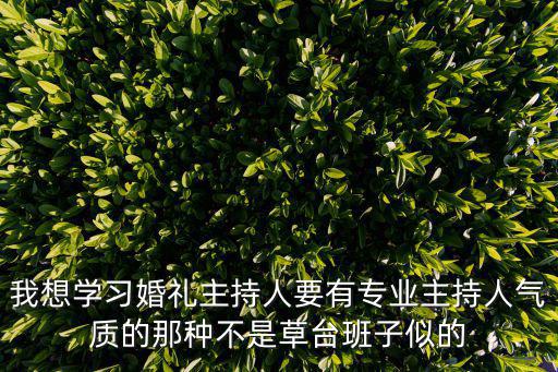我想學(xué)習(xí)婚禮主持人要有專業(yè)主持人氣質(zhì)的那種不是草臺班子似的