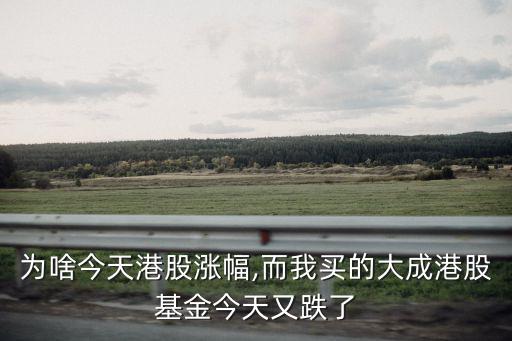 為啥今天港股漲幅,而我買的大成港股基金今天又跌了