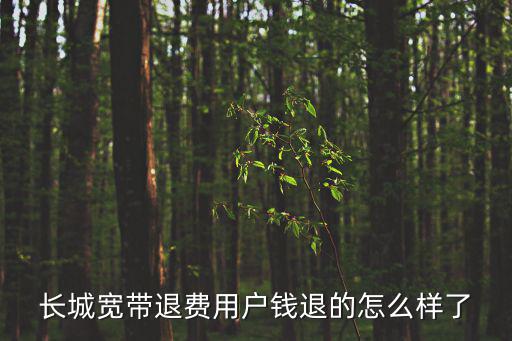 長城寬帶退費用戶錢退的怎么樣了