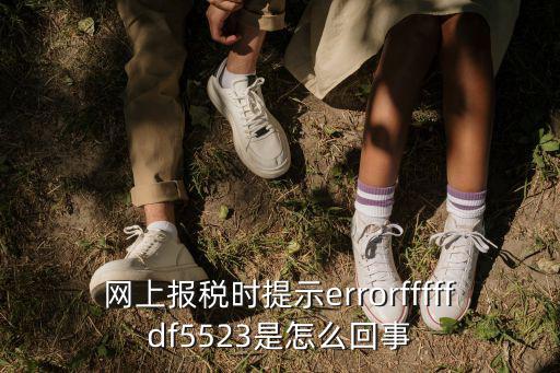 網上報稅時提示errorfffffdf5523是怎么回事