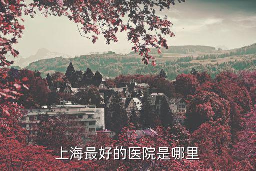 上海什么醫院最好的醫院，上海哪個醫院最好