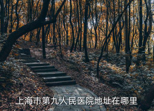 上海市第九人民醫院地址在哪里