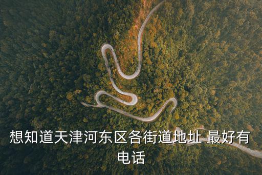 想知道天津河?xùn)|區(qū)各街道地址 最好有電話