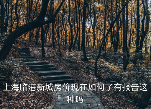 上海臨港新城房價現在如何了有報告這種嗎