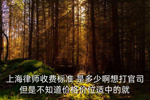上海律師收費標準 是多少啊想打官司但是不知道價格價位適中的就