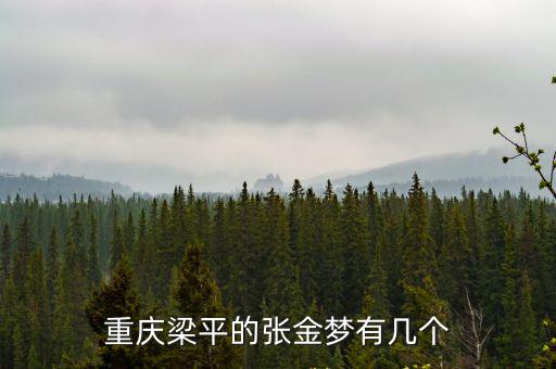 重慶梁平的張金夢有幾個
