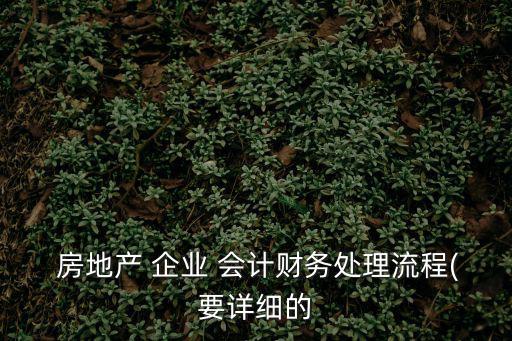  房地產 企業 會計財務處理流程(要詳細的