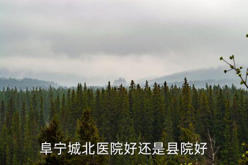 阜寧城北醫院好還是縣院好