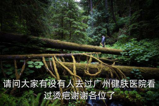 請問大家有沒有人去過廣州健膚醫(yī)院看過燙疤謝謝各位了