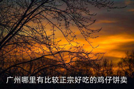 廣州哪里有比較正宗好吃的雞仔餅賣