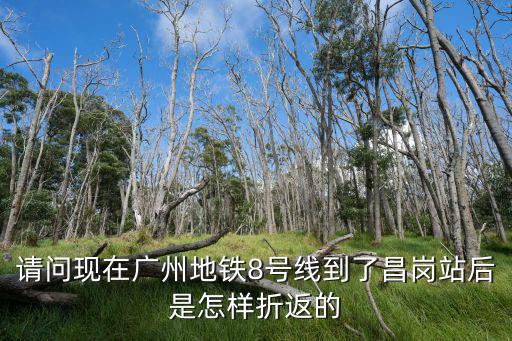 請(qǐng)問現(xiàn)在廣州地鐵8號(hào)線到了昌崗站后是怎樣折返的