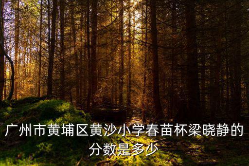 廣州市黃埔區黃沙小學春苗杯梁曉靜的分數是多少
