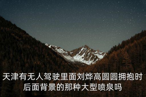 天津有無人駕駛里面劉燁高圓圓擁抱時后面背景的那種大型噴泉嗎