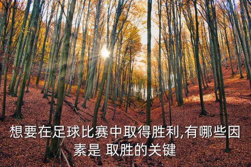 想要在足球比賽中取得勝利,有哪些因素是 取勝的關鍵