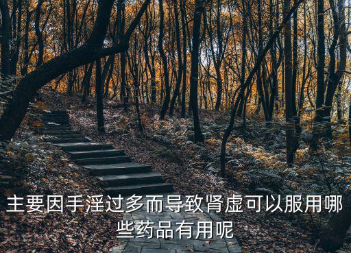 手癮導致腎虛怎么辦，主要因手淫過多而導致腎虛可以服用哪些藥品有用呢