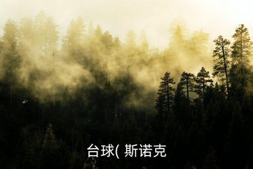 臺球( 斯諾克