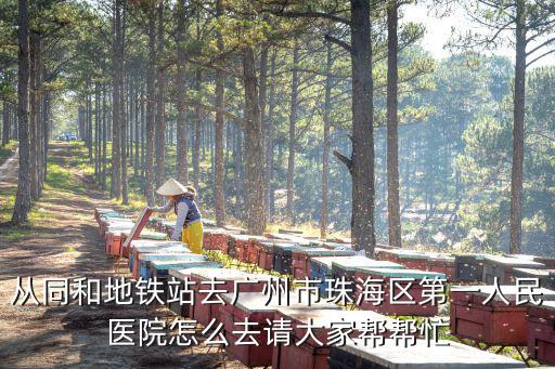 從同和地鐵站去廣州市珠海區(qū)第一人民醫(yī)院怎么去請大家?guī)蛶兔? class=
