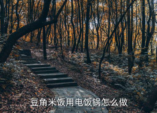 豆角飯,豆角燜飯與電飯煲的區(qū)別