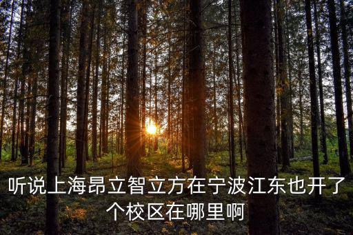 聽說上海昂立智立方在寧波江東也開了個校區(qū)在哪里啊