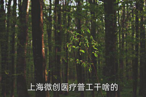 上海微創醫療普工干啥的