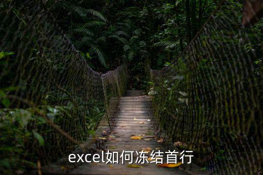 excel如何凍結首行
