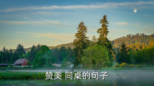 贊美 同桌的句子