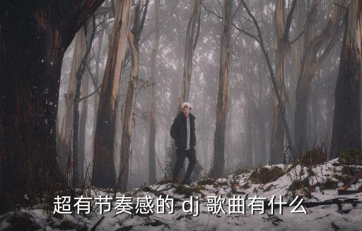 超有節(jié)奏感的 dj 歌曲有什么