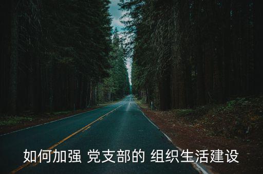 黨支部組織建設,加強黨支部組織生活建設須做好五件事