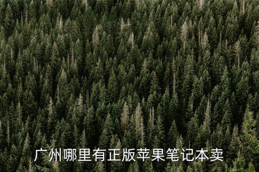 廣州哪里有正版蘋果筆記本賣