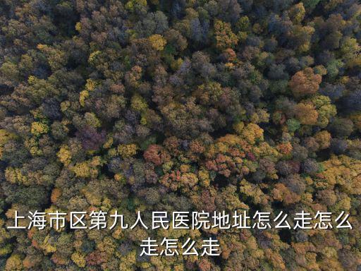 上海市區第九人民醫院地址怎么走怎么走怎么走