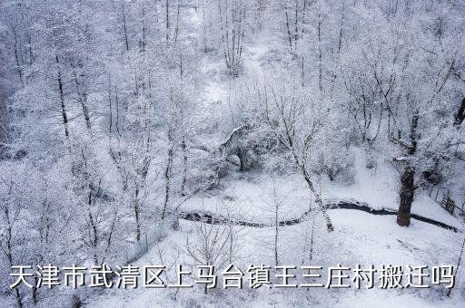 天津市武清區(qū)上馬臺鎮(zhèn)王三莊村搬遷嗎