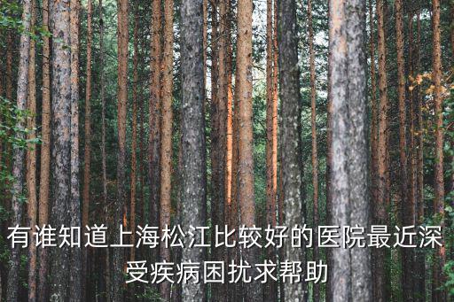 上海市松江區醫院怎么樣，上海松江人民醫院專業嗎婦科怎么樣