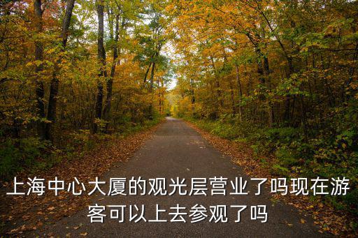 上海中心大廈可以上去嗎，關于上海中心大廈看到好多人在那拍的片子現在可以上去嗎  搜