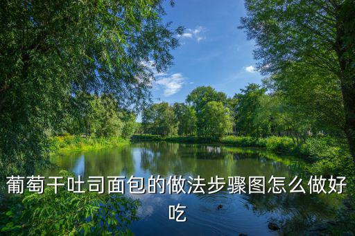 葡萄干吐司面包，葡萄干吐司面包的做法步驟圖怎么做好吃